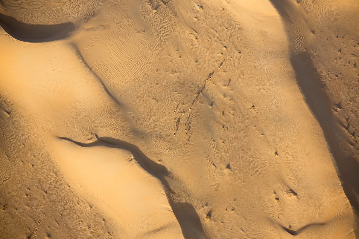 Vue aérienne de chameau